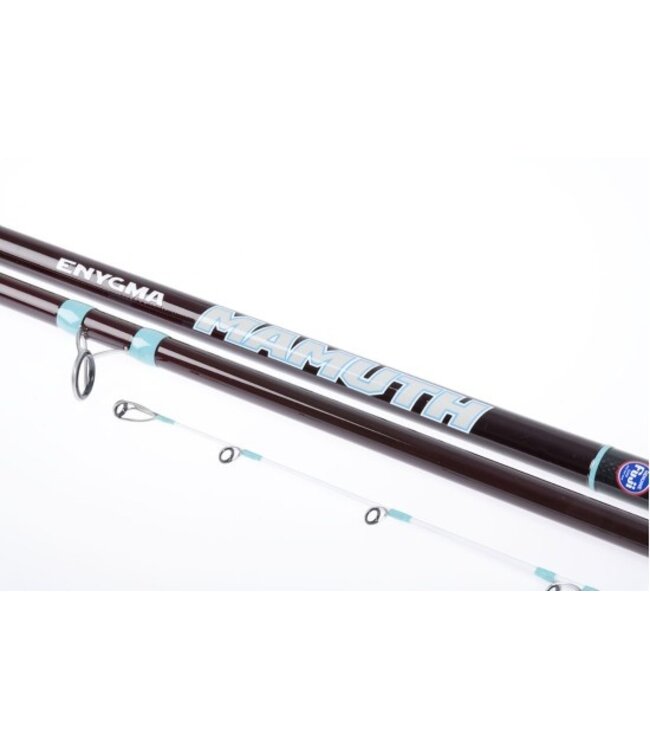 Vercelli VERCELLI Engygma Mamuth 4.50m - 100-250g