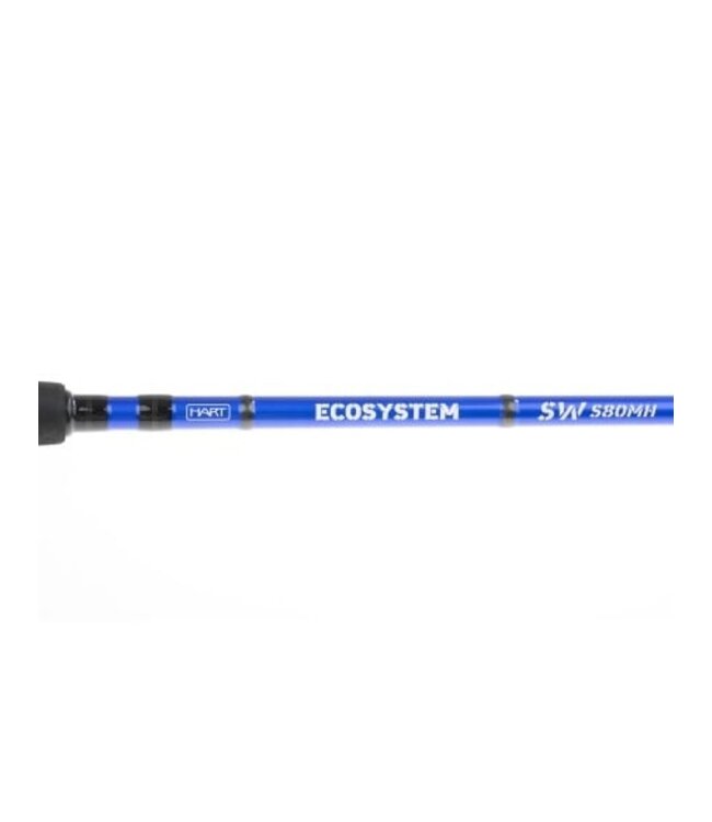 HART HART Ecosystem Saltwater Spinhengel