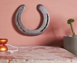 Pourquoi le fer à cheval porte-t-il bonheur ?