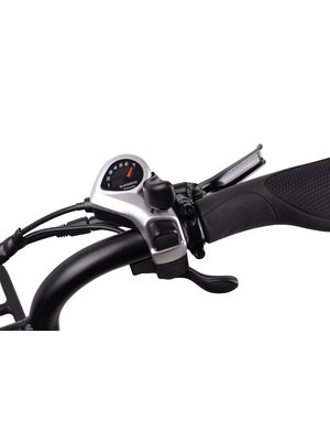 Altec Arion Fatbike