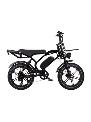 Altec Arion Fatbike
