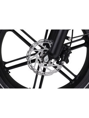 Altec Arion Fatbike