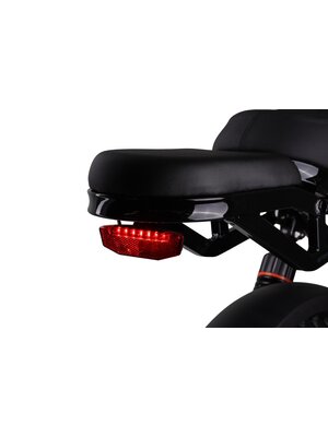 Altec Arion Fatbike