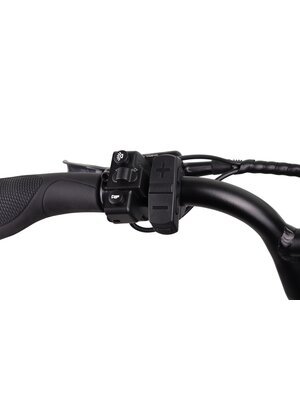Altec Arion Fatbike