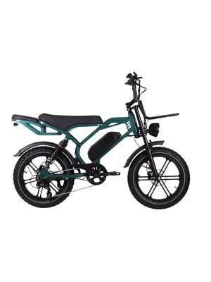 Altec Arion Fatbike