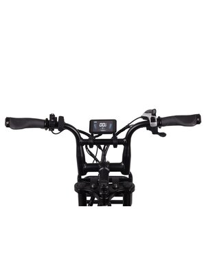Altec Arion Fatbike