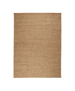 Tapis d'extérieur en jute - Daisy Lines Multicolore