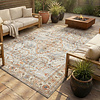 Tapis d'extérieur vintage - Santo Flora Gris Clair - thumbnail