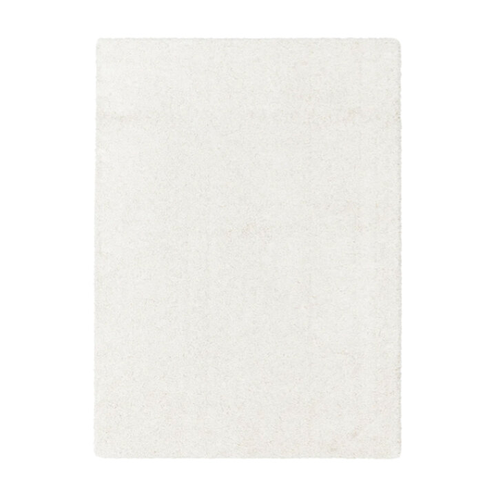 Tapis shaggy – George Blanc