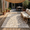 Tapis d'intérieur et d'extérieur - Bloom Oriental Taupe - thumbnail