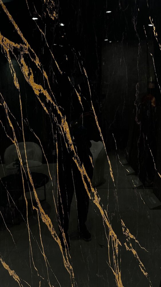 Oppio €37 PER PANEEL - 120x280x0,3 cm - PVC Wandpaneel Ceasar Black - Zwart Goud Hoogglans Oppio €37 PER PANEEL - 120x280x0,3 cm - PVC Wandpaneel Ceasar Black - Zwart Goud Hoogglans