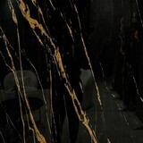 Oppio €37 PER PANEEL - 120x280x0,3 cm - PVC Wandpaneel Ceasar Black  - Zwart Goud Hoogglans