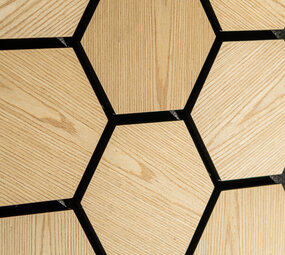 Oppio €18,- PER PANEEL - HEXAGON LICHT EIKEN Akupanel 760x620x21 akoestische wand panelen lattenwand met Vilt Oppio €18,- PER PANEEL - HEXAGON LICHT EIKEN Akupanel 760x620x21 akoestische wand panelen lattenwand met Vilt
