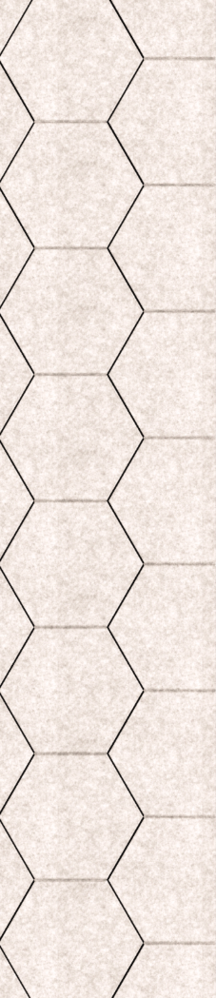 Oppio OPPIO Viltpaneel Beige - HEXAGON - 60x280 cm - Brandvertragend & Geluiddempend Oppio OPPIO Viltpaneel Beige - HEXAGON - 60x280 cm - Brandvertragend & Geluiddempend