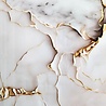 Oppio €37 PER PANEEL - 120x280x0,3 cm - PVC Wandpaneel Fantasy Gold -  Hoogglans