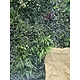 Oppio OPPIO Moss Panel - DAINTREE- 100x100 cm Oppio OPPIO Moss Panel - DAINTREE- 100x100 cm