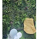 Oppio OPPIO Moss Panel - DAINTREE- 100x100 cm Oppio OPPIO Moss Panel - DAINTREE- 100x100 cm