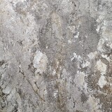 €64 PER PANEEL - 120x280x0,3 cm - PVC Wandpaneel RUSTY EARTH -  MAT