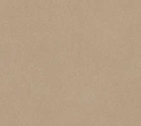 Oppio WARM TAUPE PVC Wandpaneel MAT SMOOTH - 120x280x0,3 cm