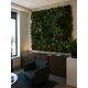 Oppio OPPIO Moss Panel - SUNDARBANS - 100x100 cm Oppio OPPIO Moss Panel - SUNDARBANS - 100x100 cm