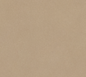 Oppio WARM TAUPE PVC Wandpaneel MAT SMOOTH - 120x280x0,3 cm