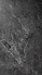 €54 PER PANEEL - 120x280x0,3 cm - PVC Wandpaneel MAT Antraciet Leisteen