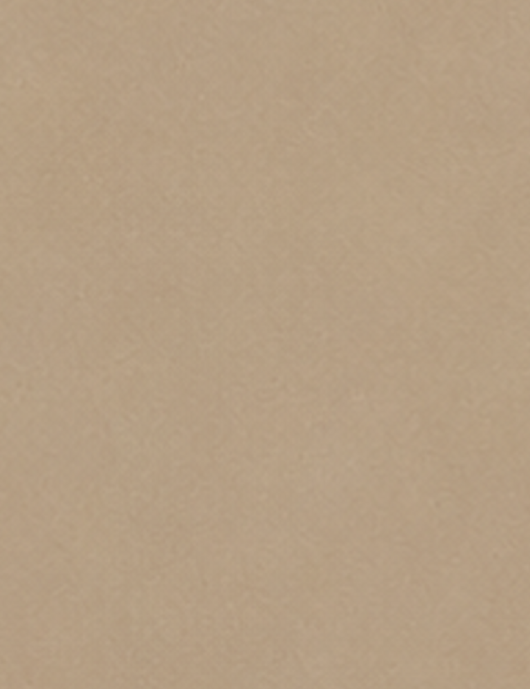 Oppio WARM TAUPE PVC Wandpaneel MAT SMOOTH - 120x280x0,3 cm