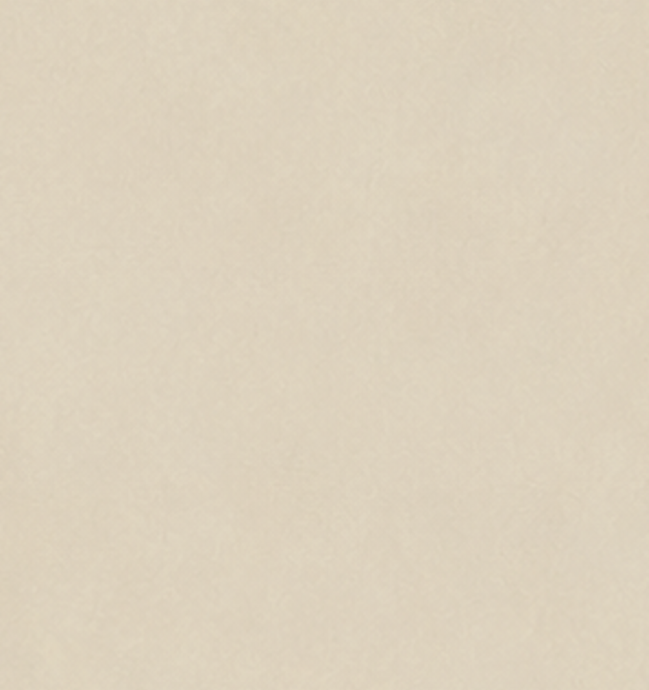 Oppio CREAM BEIGE PVC Wandpaneel MAT SMOOTH - 120x280x0,3 cm Oppio CREAM BEIGE PVC Wandpaneel MAT SMOOTH - 120x280x0,3 cm