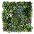 OPPIO Moss Panel - SUNDARBANS - 100x100 cm