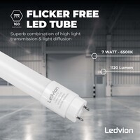 Ledvion 2ft LED Tube - 7W - 6500K - Daylight - T8 - 1120 Lumen - Replaces 18W - High Efficiency