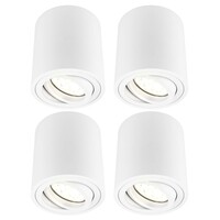 Ledvion LED Single Ceiling Spotlight - 3W - Warm White - Dimmable - Adjustable - Modern - Round - Surface Mount Downlight - White