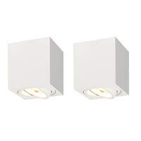 Ledvion 2x LED Single Ceiling Spotlight - 3W - Warm White - Dimmable - Adjustable - Modern - Square - Surface Mount Downlight - White