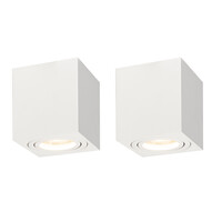 Ledvion 2x LED Single Ceiling Spotlight - 3W - Warm White - Dimmable - Adjustable - Modern - Square - Surface Mount Downlight - White
