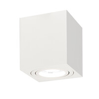 Ledvion LED Single Ceiling Spotlight - 3W - Daylight - Dimmable - Adjustable - Modern - Square - Surface Mount Downlight - White