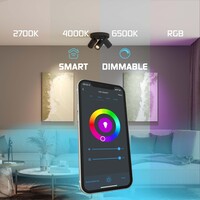 Ledvion Smart LED Ceiling Spotlight With 3 Lights - 4.9W - RGB+CCT - Dimmable - Adjustable - Black - Round
