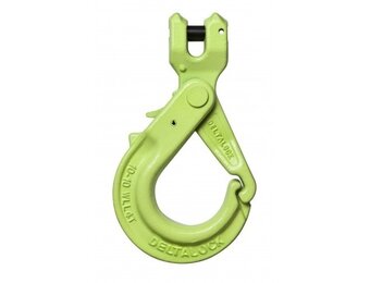 Deltalock Güteklasse 10 Gabelsicherungshaken 4 Tonnen