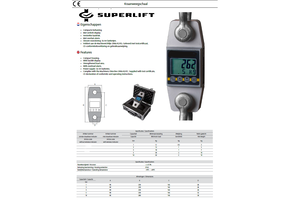 DELTA Kranwaage 10 Tonnen mit digitaler Anzeige