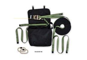 Temporäre Lebenslinie