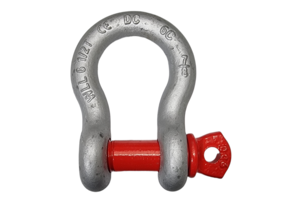 Geschweifte Schäkel mit Schraubbolzen 12 Tonnen