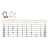 Geschweifte Schäkel met Schraubbolzen 4,75 Tonnen
