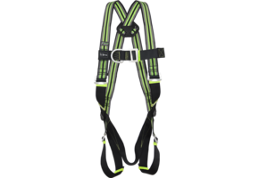 Standard-Auffanggurt mit 2 Befestigungspunkten