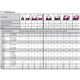 RUD VIP VRS-F Drehbare Ringschraube mit Sternprofilschlüssel M20 (2,3/6t)