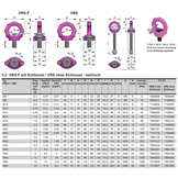 RUD VIP VRS-F Drehbare Ringschraube mit Sternprofilschlüssel M8 (0,3/1t)