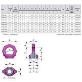 RUD Drehbare Ringmutter VRM Starpoint M8 (0,3/1 t)