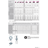 RUD Drehbare Ringschraube INOX-Star, Edelstahl