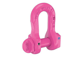 VIP-Verwechslungsfreier Schäkel Güteklasse 10