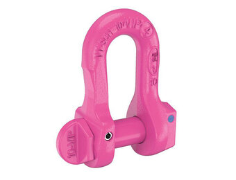 VIP-Verwechslungsfreier Schäkel Güteklasse 10