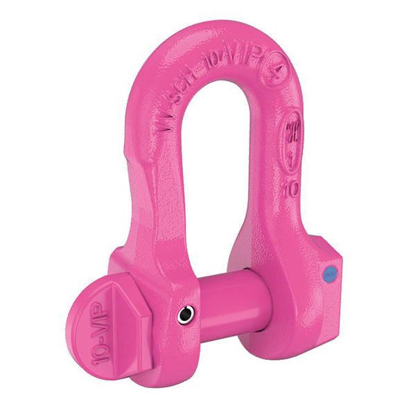 VIP-Verwechslungsfreier Schäkel Güteklasse 10