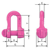 VIP-Verwechslungsfreier Schäkel Güteklasse 10