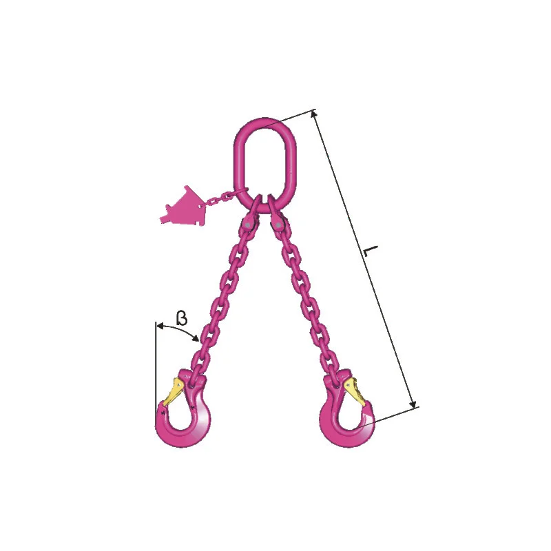 RUD 22mm VIP-Kettengehänge 2-Strang mit Sicherheitshaken VCGH Güteklasse 10 WLL 28,0/20,0 Ton